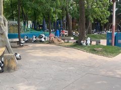 -南戴河国际娱乐中心