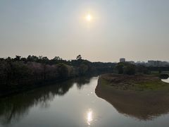 -广东花都湖国家湿地公园
