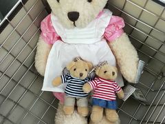 -济州岛泰迪熊博物馆