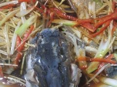 -煲来饱去冷水鱼