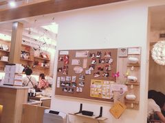 -滚猫咖啡·猫咖·猫友好撸猫(未来城店)