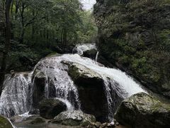 -牛背梁国家森林公园