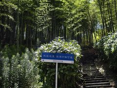 -宁波浙东大竹海景区