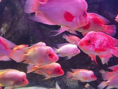 -泉城欧乐堡海洋极地世界