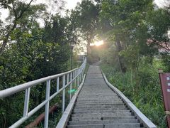 -板樟山森林公园