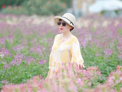 -荷兰花海