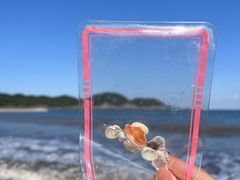 -东海半边山旅游度假区