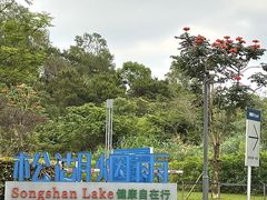 -松山湖风景区松湖烟雨