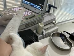 -美美宠物诊疗中心·异宠·骨科(滨江东信分院)