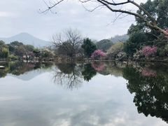 -白马涧龙池景区