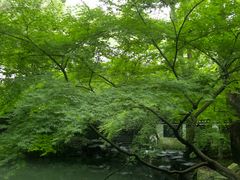 -虎跑公园