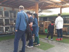 -凯德广场(金牛店)