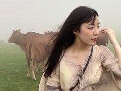 -大姆山草场