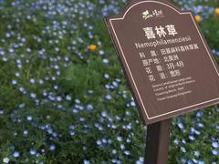 -保利石象湖景区