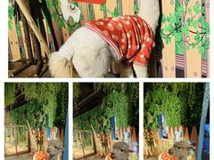 -常州海昌海洋探索馆