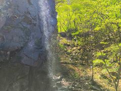 -本溪汤沟绿石谷森林公园