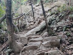 -梧桐山风景名胜区