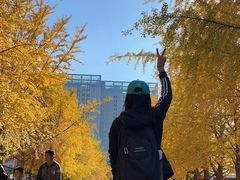 -辽宁大学(崇山校区)