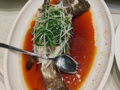 -大东海海鲜酒楼(渔人码头总店)