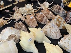 -摩登百货(岗顶店)