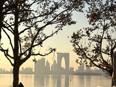 -金鸡湖景区