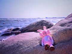 -老虎石海上公园