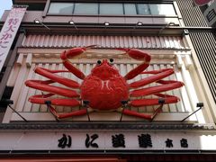 -蟹道乐(道顿堀本店)
