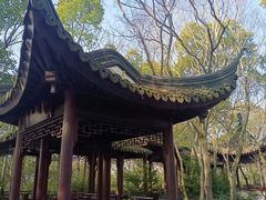 -上海佘山国家森林公园天马山园