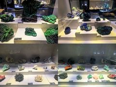 -河南自然博物馆