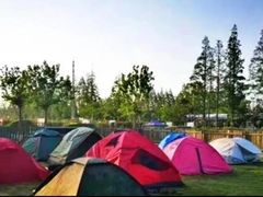 -前小桔亲子创意农场·草莓采摘·露营烧烤