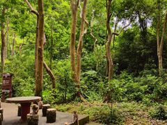 -广西龙虎山风景区