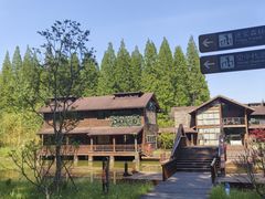 -黄海国家森林公园