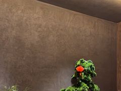 -阿露佳·舌尖上的安吉菜