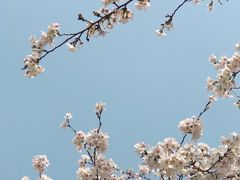 -西北湖绿化广场