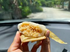 -东郊椰林