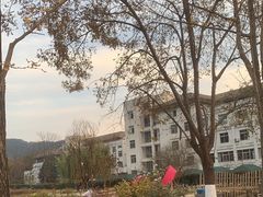 -浙江农林大学(东湖校区)