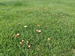 -潭柘厚院(桑峪村店)