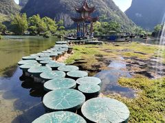 -靖西鹅泉风景区