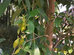 -广州神农草堂中医药博物馆