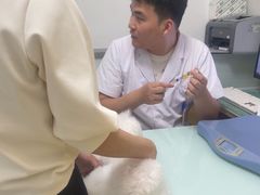-宠福鑫康馨动物医院·骨科·眼科