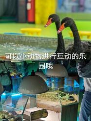 -七巧国萌宠乐园(龙湖天街店)