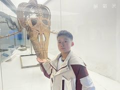 -重庆欢乐海底世界