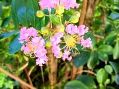 -宁波富邦荪湖山庄