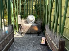 -岚山嵯峨野观光小火车