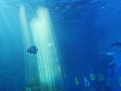 -多彩贵州城极地海洋世界