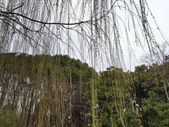 -昆山城市生态森林公园