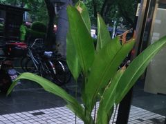 -小团圆糖水铺(襄阳南路店)