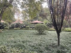 -天赐温泉