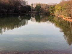 -东湖落雁景区