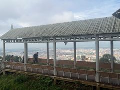 -莫里热带雨林景区